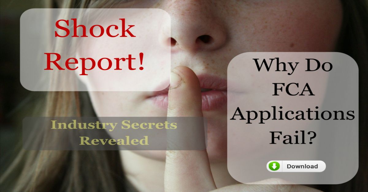 fca business plan activities consultants free report
